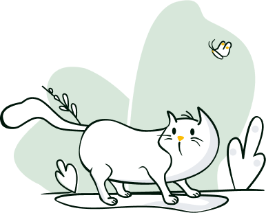 Cat Ilustration